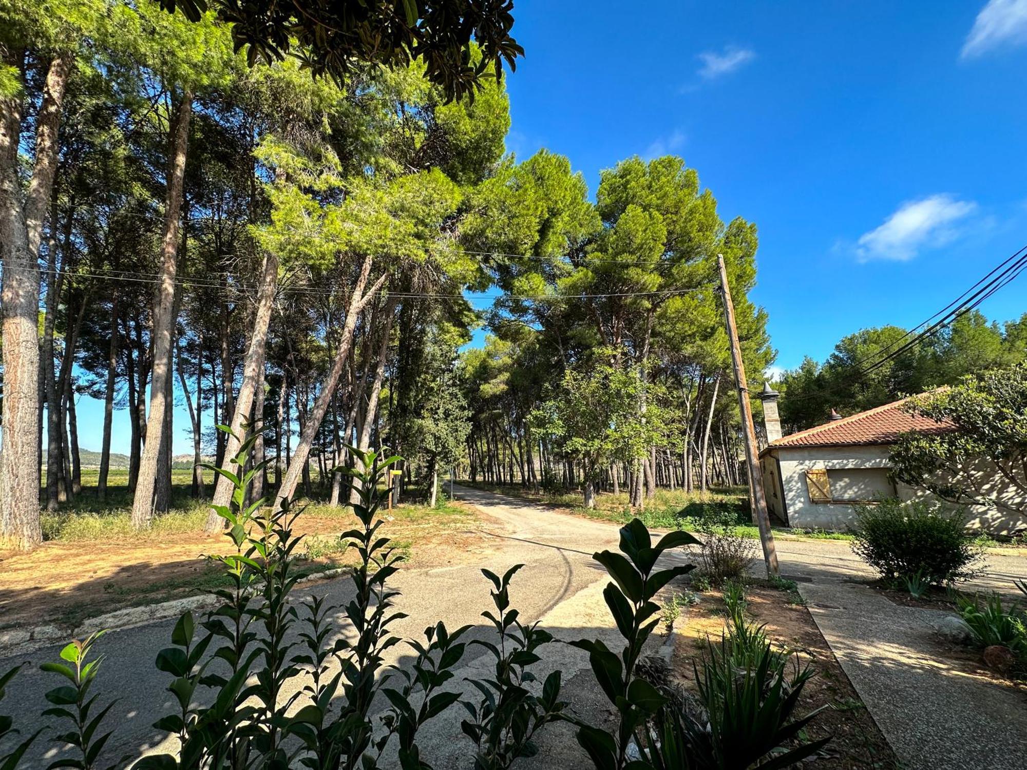 Casa Rural Los Pinos Valmuel Eksteriør bilde