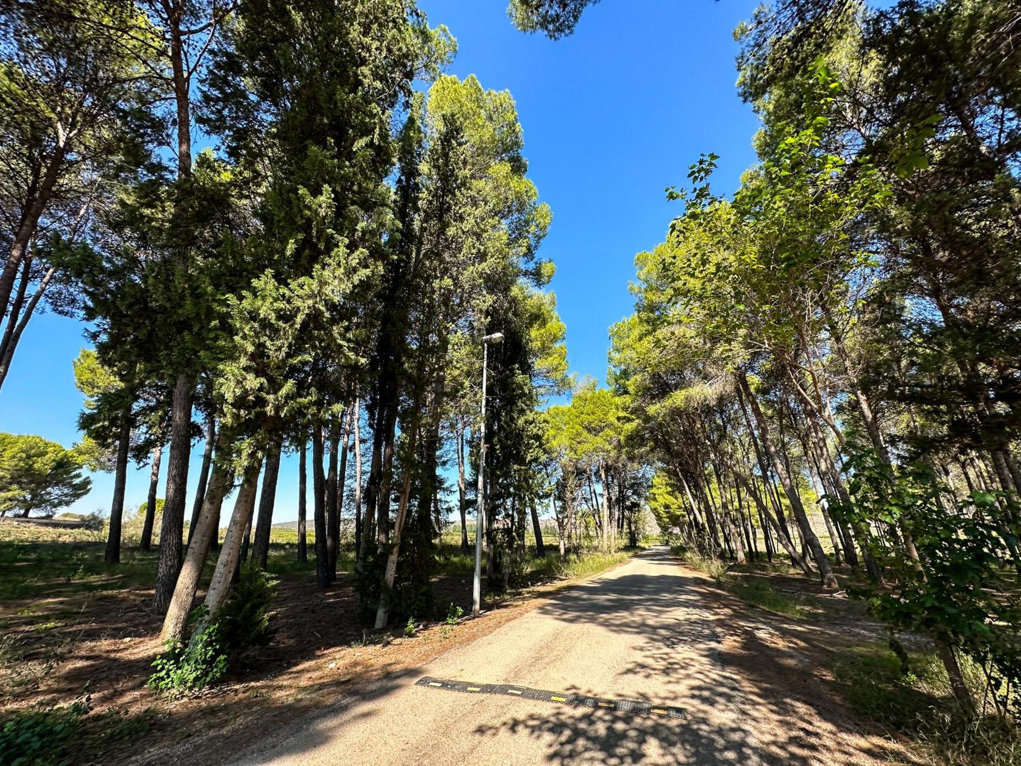 Casa Rural Los Pinos Valmuel Eksteriør bilde
