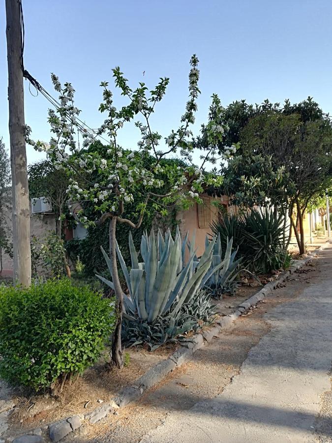 Casa Rural Los Pinos Valmuel Eksteriør bilde